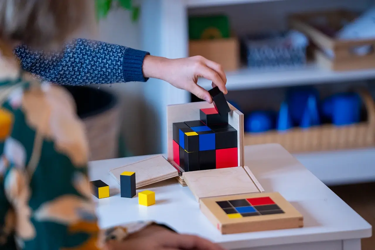 Montessori osnovna šola